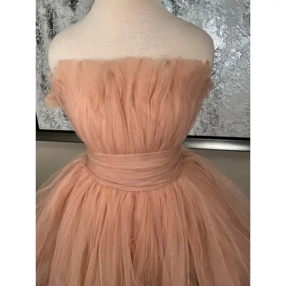 BRONX AND BANCO Anna Tiered Tulle Strapless Pink Maxi Dress Size Small - Picture 7 of 15